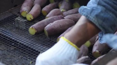 Adam kızarmış tatlı patates yapıyor.