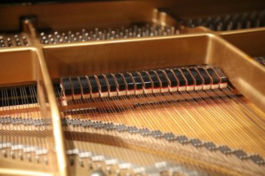 Piyano çalma görüntüsü