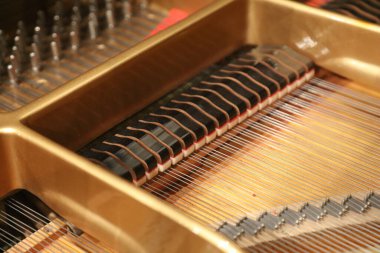 Piyano çalma görüntüsü