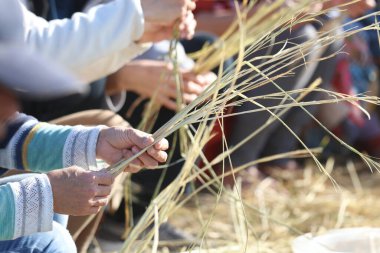 Shimenawa-yapma deneyiminin görüntüsü