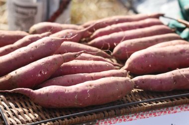 Bir sürü tatlı patates sıraya dizildi.