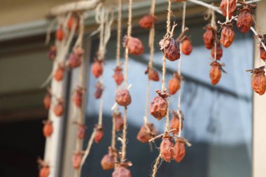 Rüzgarda sallanan kurumuş hurma ağaçları.