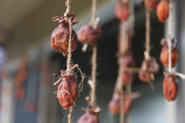 Rüzgarda sallanan kurumuş hurma ağaçları.