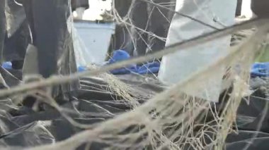 Balıkçılar ağlarını temizliyor