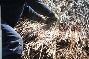 Bir zanaatkar sazdan çatıyı tamir ediyor.