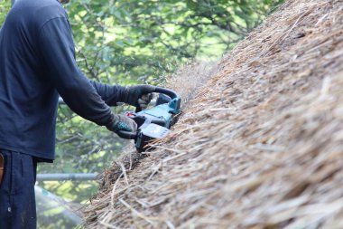 Bir adam sazdan çatıyı buduyor