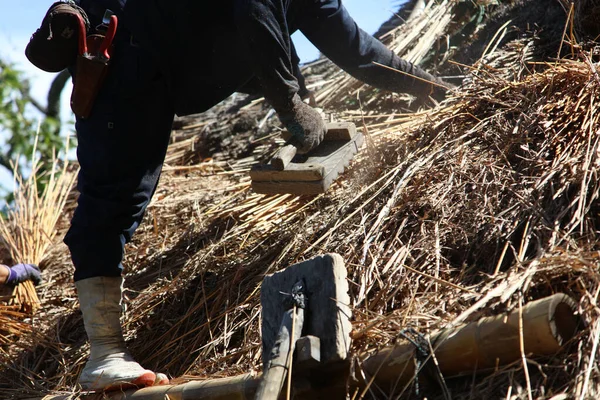 Bir zanaatkar sazdan çatıyı tamir ediyor.