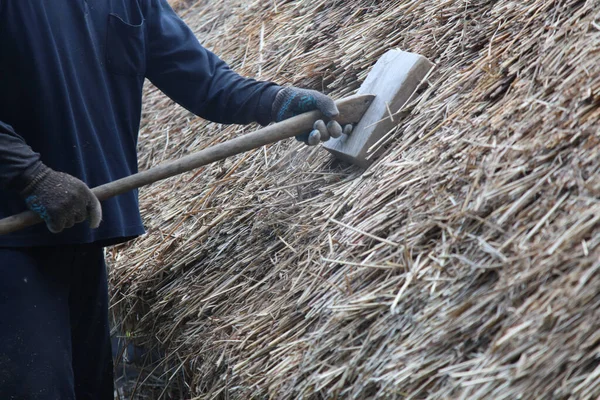 Bir zanaatkar sazdan çatıyı tamir ediyor.
