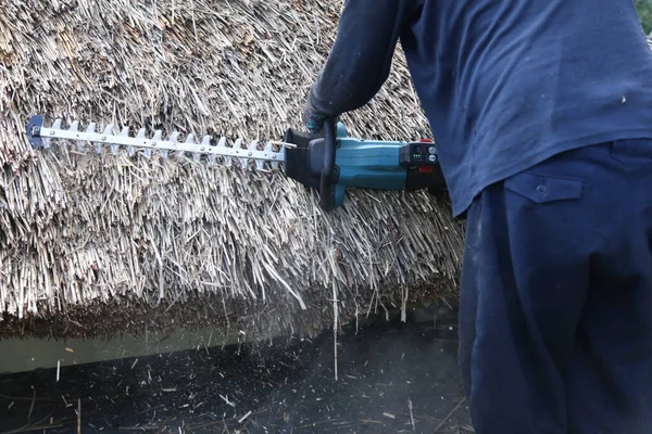 Bir adam sazdan çatıyı buduyor