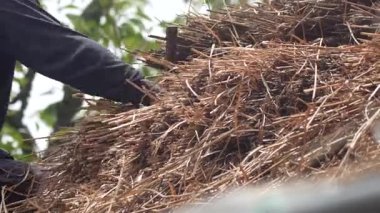 Bir zanaatkar sazdan çatıyı tamir ediyor.