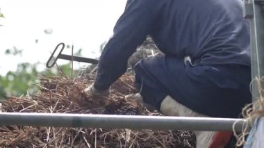 Bir zanaatkar sazdan çatıyı tamir ediyor.