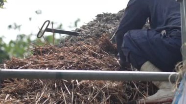 Bir zanaatkar sazdan çatıyı tamir ediyor.