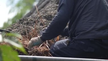 Bir zanaatkar sazdan çatıyı tamir ediyor.