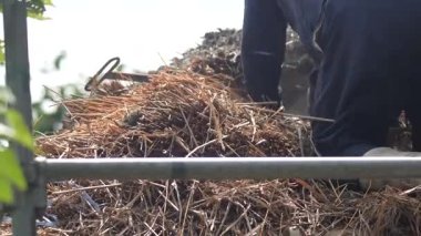 Bir zanaatkar sazdan çatıyı tamir ediyor.