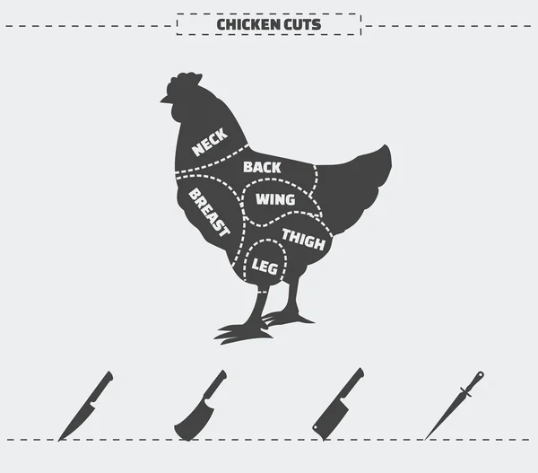 Cortes de pollo. Vector . — Vector de stock