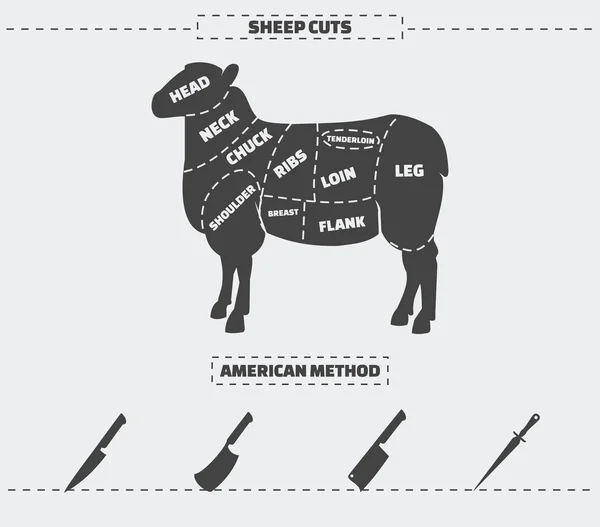 Cuts of lamb meat. — Stock Vector