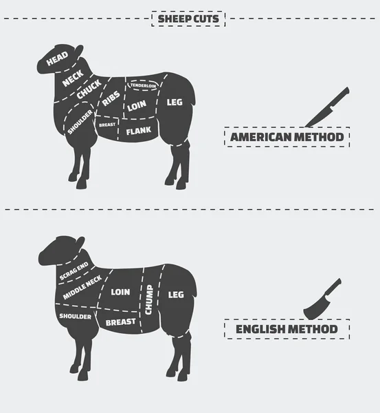Cuts of lamb meat. — Stock Vector