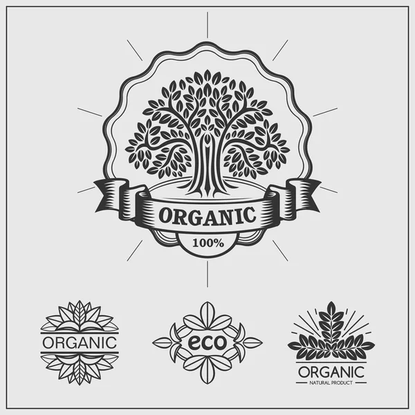Conjunto de etiquetas e insignias verdes para productos orgánicos, ecológicos y biológicos sobre fondo negro . — Vector de stock