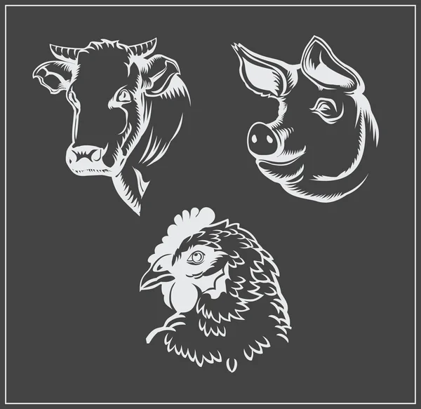 Heads of farm animals. Cow, pig and chicken. Vector monochrome design. — Stock Vector