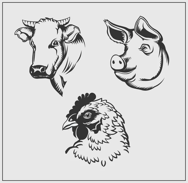 Cabeças de animais de quinta. Vaca, porco e frango. Projeto monocromático vetorial . —  Vetores de Stock