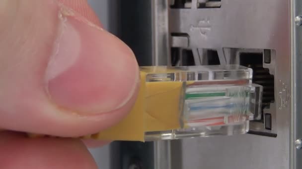 Data patchcords plugs to the switch. — Stock Video