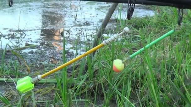 Float rod in the background of grass, fishing. — Stock Video