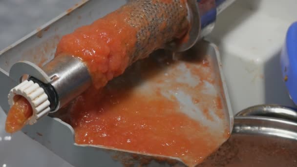 Hausgemachter frischer Tomatensaft mit elektrischer Maschine. Trennung von Rinde und Samen vom Tomatensaft. — Stockvideo