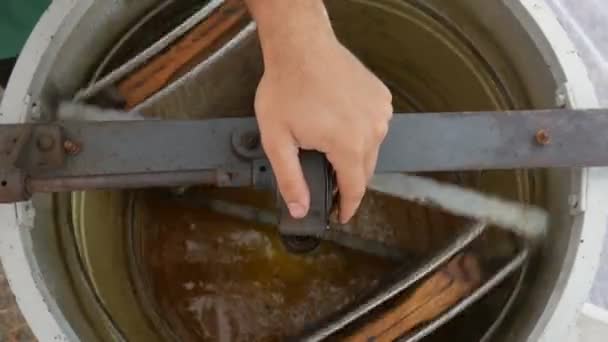 Alat centrifuge manual yang Spin the Honey dari sel. ekstraktor madu berputar dengan frame dengan sarang madu, memompa madu. Mendapatkan madu dari sarang madu. — Stok Video