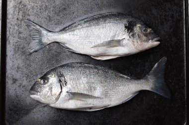 Taze çiğ dorado balık