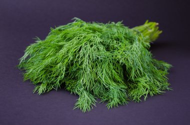 Grup siyah arka plan üzerine taze dereotu