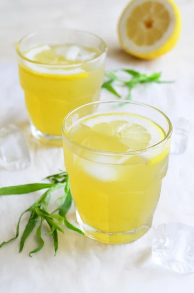 Tarhun limonata içmek — Stok fotoğraf