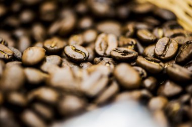 tost kalite kahve çekirdekleri