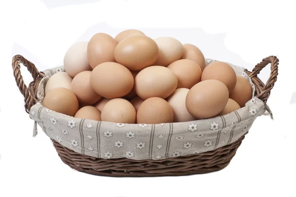 Many fresh chicken eggs — Stock Photo, Image