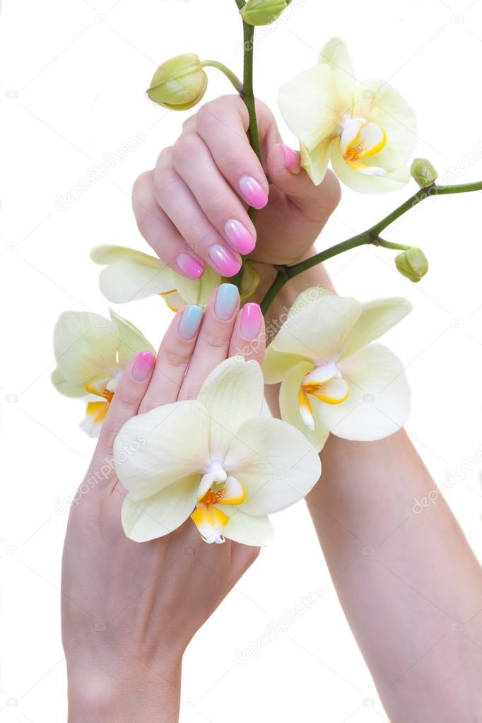 beautiful female hands with multicolored manicure