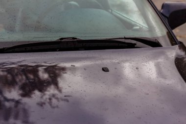 Bir Sonbahar Gününde Islak Otomobilin Yakın Çekimi: Yağmurlu Sunroof ve Çatı, Klasik Taillight ve Düşen Yapraklara Karşı Bir Sedan 'ın Turuncu Farları