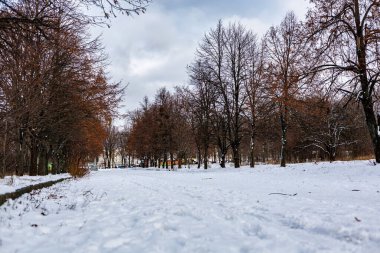 Saltivka, Kharkiv, Sonbahar Yaprakları ve Ukrayna Kış Manzarası 'nda Kharkiv TV Kulesi ile Zafer Parkı Kış Manzarası (Park Pobedy)