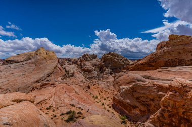 Ziyaretçiler, Ateş Vadisi Parkı 'ndaki eşsiz kaya oluşumlarını gün ortası güneşinde kabarık beyaz bulutlarla parlak mavi bir gökyüzünün altında keşfediyorlar. Doğa çeşitli renk ve şekilleri gösterir.