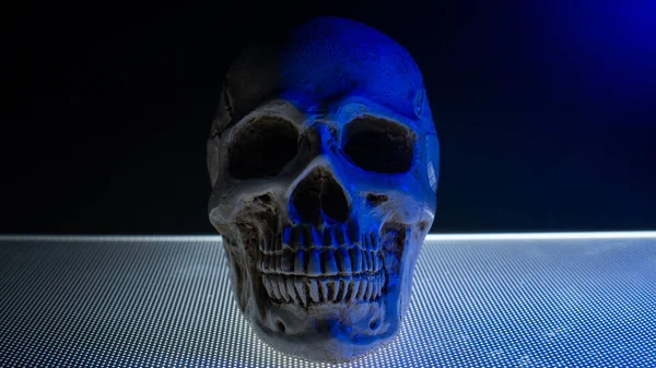 skull in the blue light dark tone for background content