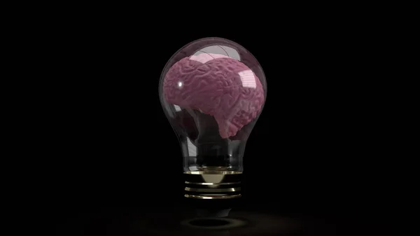 Cerveau Intérieur Ampoule Pour Éducation Contenu Sci Rendu — Photo