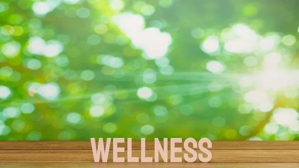 Wellness Word Health Concept Rendering — Stock Photo, Image
