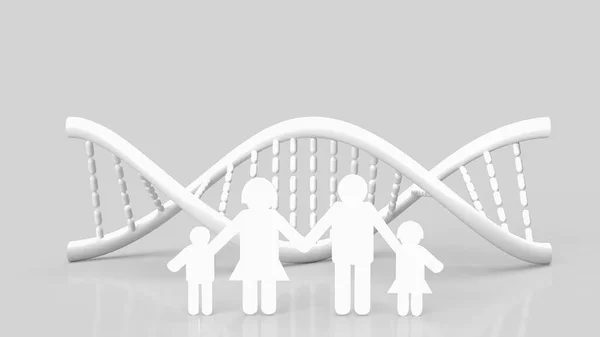 The white dna and family paper cut on white background for science or medical  concept 3d rendering