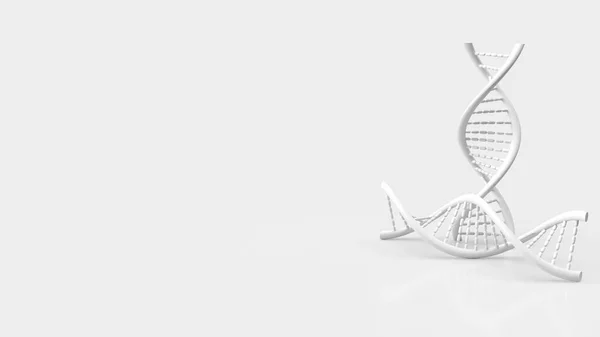 科学的または医学的概念のための白い背景の白いDna 3Dレンダリング — ストック写真