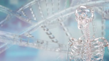 Kristal Skelton Bilim veya Eğitim Konsepti 3D Hazırlama.