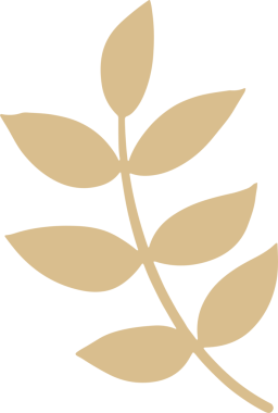 Şükran Günü ya da tatil konsepti için Sonbahar Yaprağı.