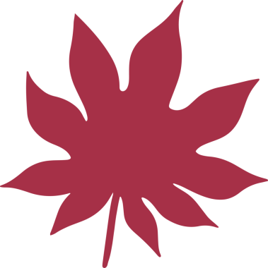 Şükran Günü ya da tatil konsepti için Sonbahar Yaprağı.