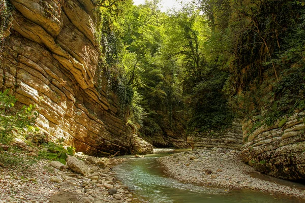 Kanyon Abhazya orman