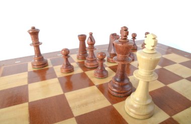 satranç taşları, satranç oyunu