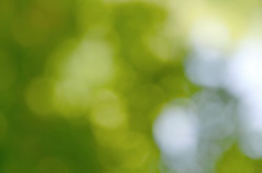 Doğal Bokeh, bulanık bokeh backgroud