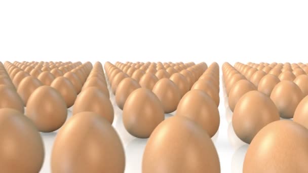 在白色背景上穿越迷宫 3d 鸡蛋 — 图库视频影像