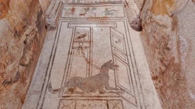 POMPEII (Pompei), İtalya, 14 Nisan 2024 - Paquius Proculus, Pompeii, Napoli, Campania, İtalya, M.S. 79 yılında Vezüv tarafından gömülen antik Roma kenti